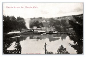 Olympia Brewery Lower Tumwater Falls Olympia Washington WA UNP DB Postcard G19