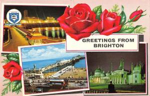 B103800 greetings from brighton    uk