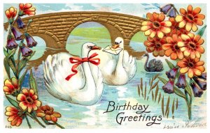 Birthday , Swans
