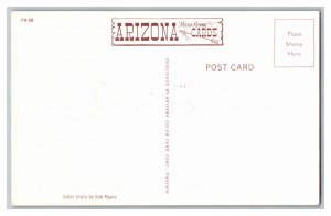 Postcard AZ Howdy From Apache Junction Arizona Banner Card 