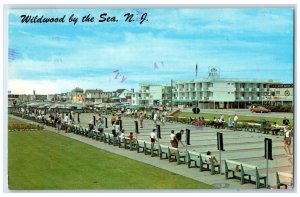 1979 Shuffleboard Courts Rio Motel Wildwood Sea New Jersey NJ Vintage Postcard