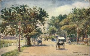 Singapore The Esplanade c1910 Postcard TUCK