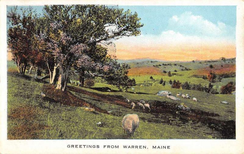 Warren Maine Sheep Pasture Greeting Antique Postcard K93201