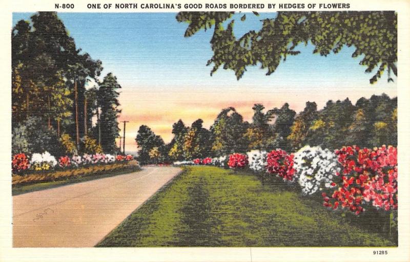 NC, North Carolina   ROAD Bordered by BEAUTIFUL FLOWERS   c1940's Linen Postcard