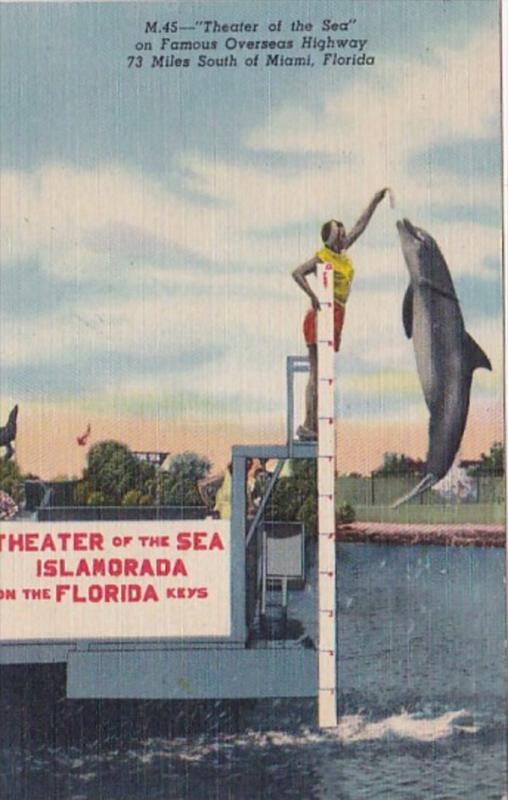 Florida Keys Jumping Porpoise At Theatre Of The Sea Islamorada 1953 Curteich