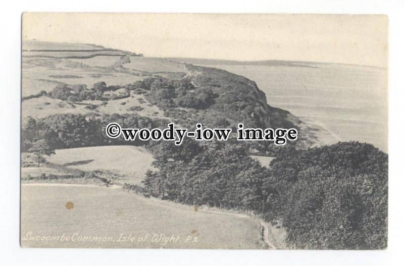 h1706 - Isle of Wight - Looking down onto Luccombe Common & Coastline - Postcard