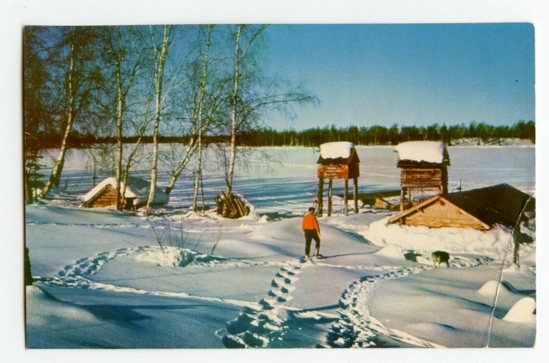 Postcard Trapper's Camp Frozen Sucker Lake Alaska Standard View Card 