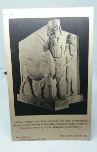 Mythological Statue Palace of Sargon Dur Sharrukin Khorsabad Iraq Vtg Postcard