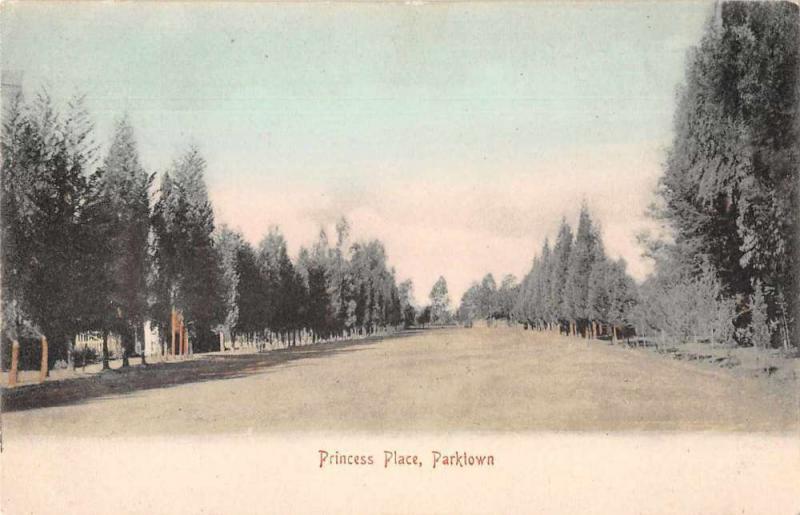 Parktown South Africa Princess Place Scenic View Antique Postcard J75523