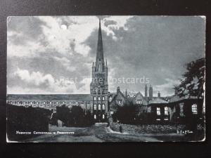 Norfolk NORWICH CATHEDRAL & PRECINCTS BY MOONLIGHT c1903 Postcard by D.F. & Co.