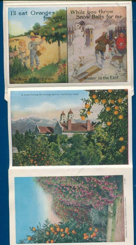 Thru the Orange Belt steam locomotive groves California travel postcard folder