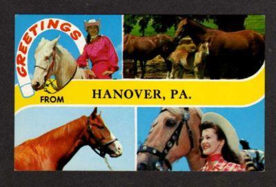 PA Greetings HANOVER PENN Postcard PC Horses Cowgirl Pennsylvania