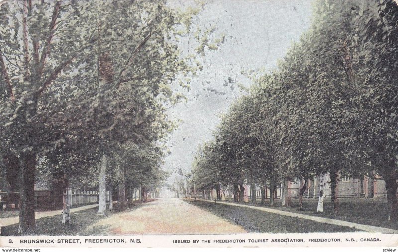 FREDERICTON, N.B, Canada, 1900-10s ; Brunswick Street