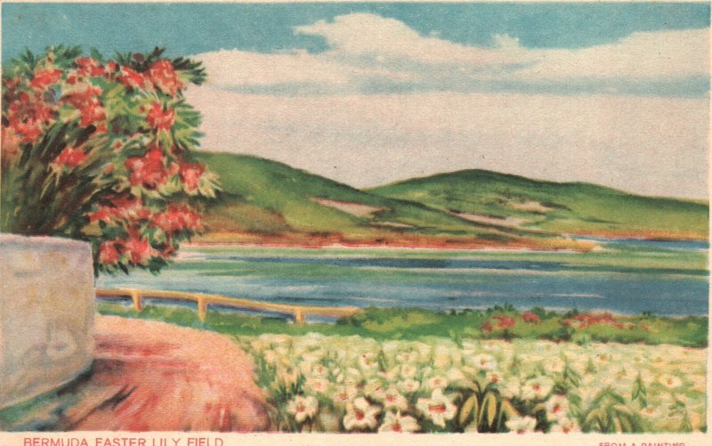 Vintage Postcard 1930's Flower Framed Garden Colorful Mountain View Canvas