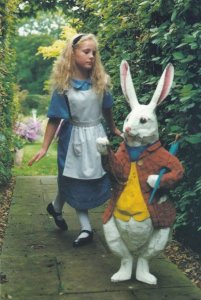 Forever Alice In Wonderland Real Photo Modern Art Postcard