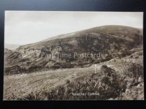 Devon: Dartmoor, Heather Combe - Heathercombe - Old Postcard