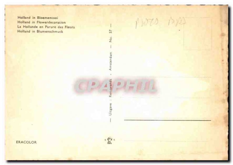 Postcard Modern Flowers in Holland Finery