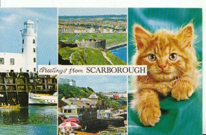 Yorkshire Postcard - Greetings from Scarborough - Ref 9456A