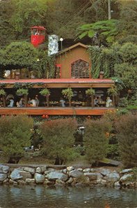 Capitola, CA California  SHADOWBROOK RESTAURANT Patio~Aerial Tram 4X6 Postcard