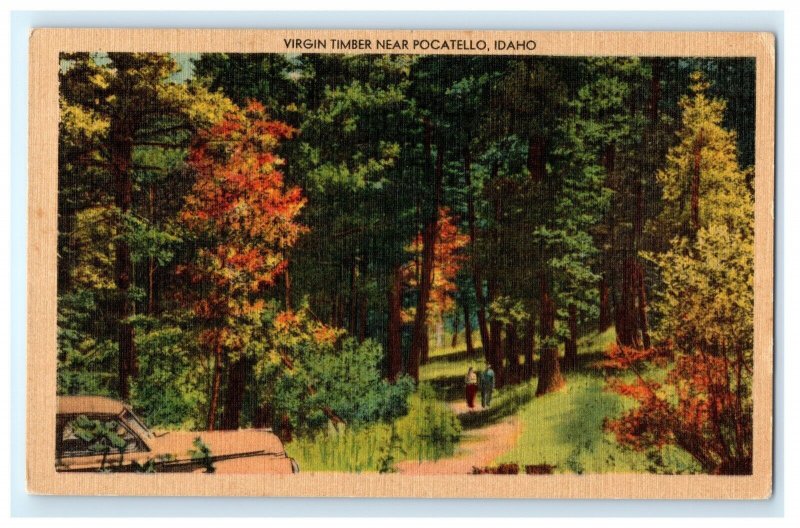 Virgin Timber Near Pocatello ID Idaho Postcard (BQ5)