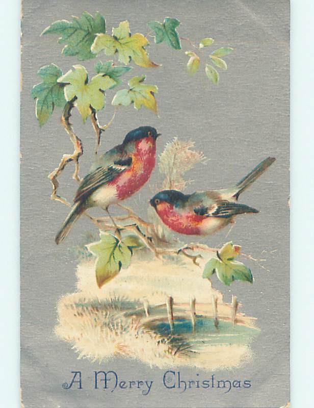 Pre-Linen christmas BEAUTIFUL BIRDS SITTING ON BRANCH OVER THE STREAM hr2845