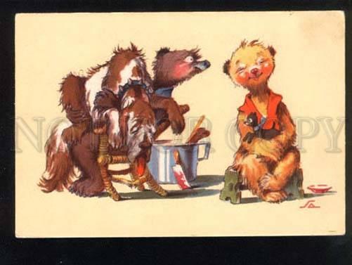 047252 Funny TEDDY BEAR & Toy Terrier old Comic