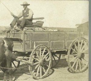 Hettinger NORTH DAKOTA RP 1909 RFD USPS MAIL WAGON Cow Cart nr Bowman MAILMAN