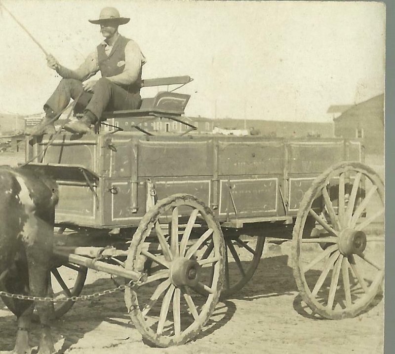 Hettinger NORTH DAKOTA RP 1909 RFD USPS MAIL WAGON Cow Cart nr Bowman MAILMAN