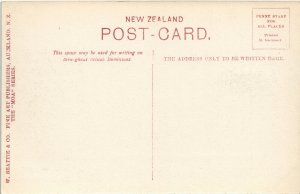 PC NEW ZEALAND, AUCKLAND, PUBLIC HOSPITAL, Vintage Postcard (B41370)