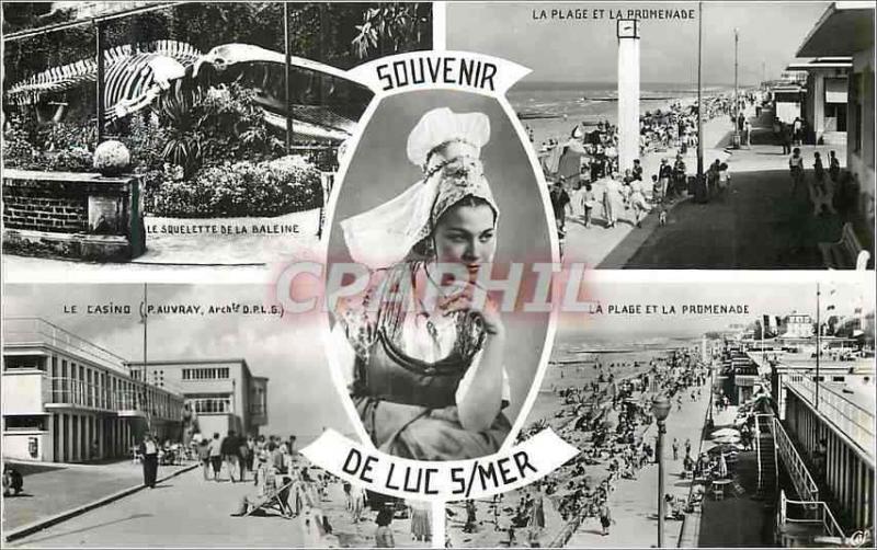 CPM Souvenir de Luc Sur Mer Baleine La plage et la promenade Le casino 