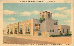 Postcard Florida St. Petersburg Golden Sunset Citrus Fruits Teich 23-7840