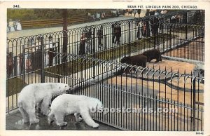 Bear Pit, Lincoln Park Zoo - Chicago, Illinois IL  
