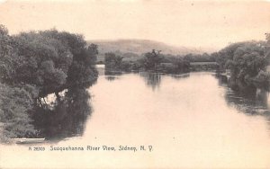 Susquehanna River View Sidney, New York  