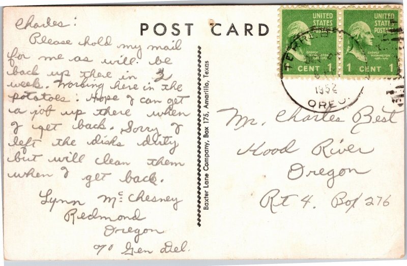 Postcard comic skunk taking bath It's hopeless I'm still a stinker 1952 Oregon