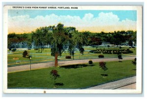 1939 Deering's Oaks from Forest Avenue, Portland Maine ME Vintage Postcard
