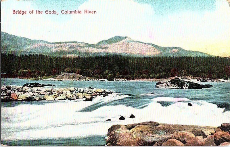 Bridge of the Gods Columbia River Vintage Postcard Standard View Card 