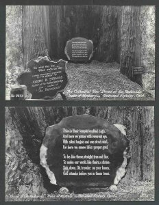 RPPC* Redwood Hwy Ca Shrine Of The Redwoods Shows Hallowed Area See Info