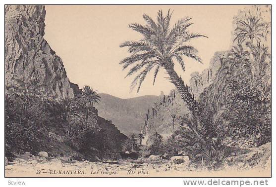Les Gorges, El-Kantara (Biskra), Algeria, Africa, 1900-1910s