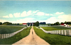 Adairland Horse Farm Glasgow KY Kentucky Postcard