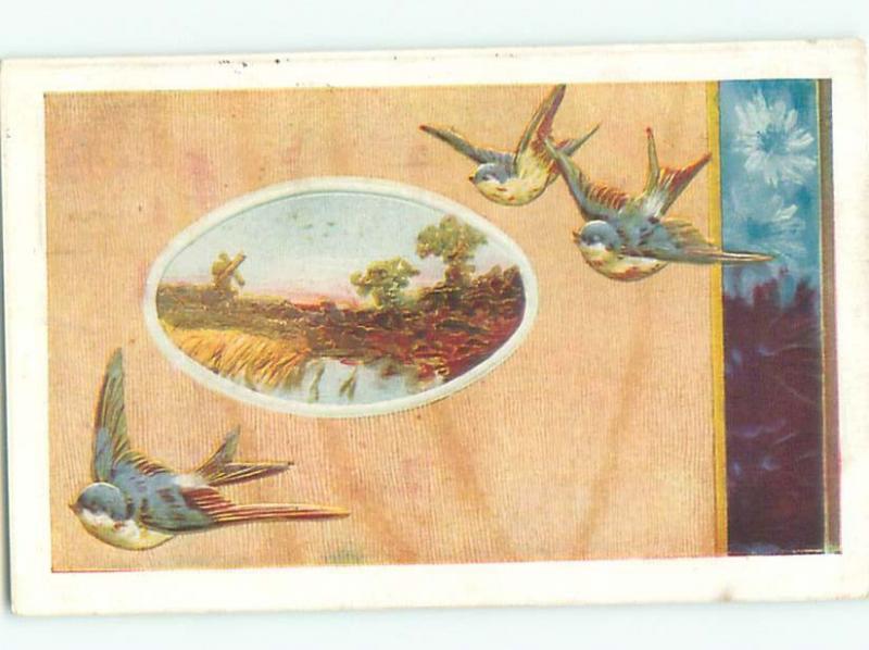 Divided-Back BIRDS SCENE Pretty Postcard AA8834