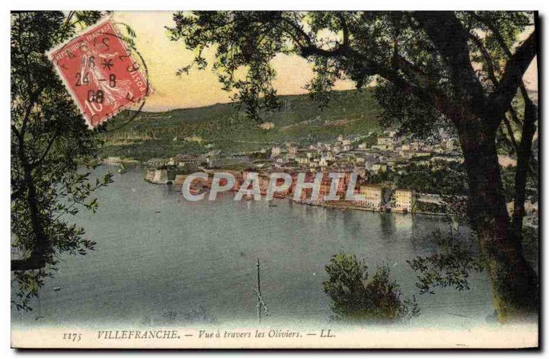 Old Postcard Villefranche View A Travers Les Oliviers