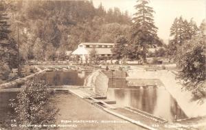 Bonneville Oregon~Fish Hatchery on Columbia River Hwy~1930s Cross & Dimmit RPPC