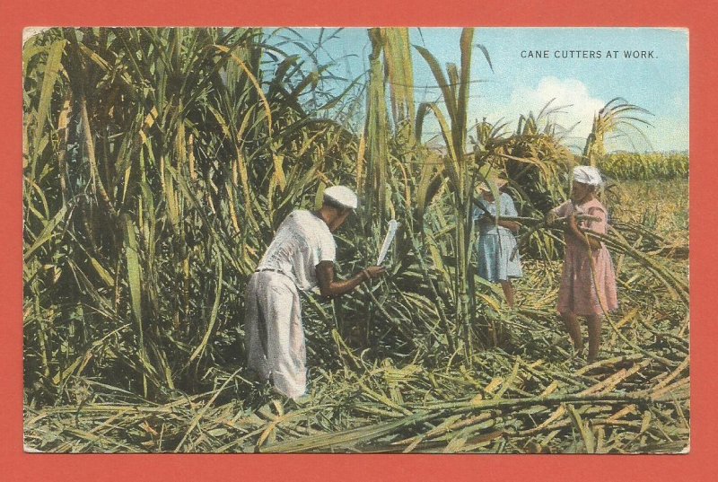 JAMAICA – CANE CUTTERS AT WORK – 1937 LINEN POSTCARD