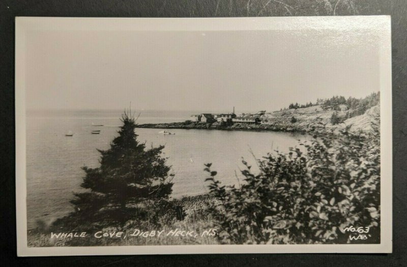 Ungebraucht Vintage Wal Bucht Digby Heck Nova Scotia Kanada Echt Foto Postkarte