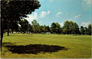 View of the City Park, Brookfield MO Vintage Postcard E80