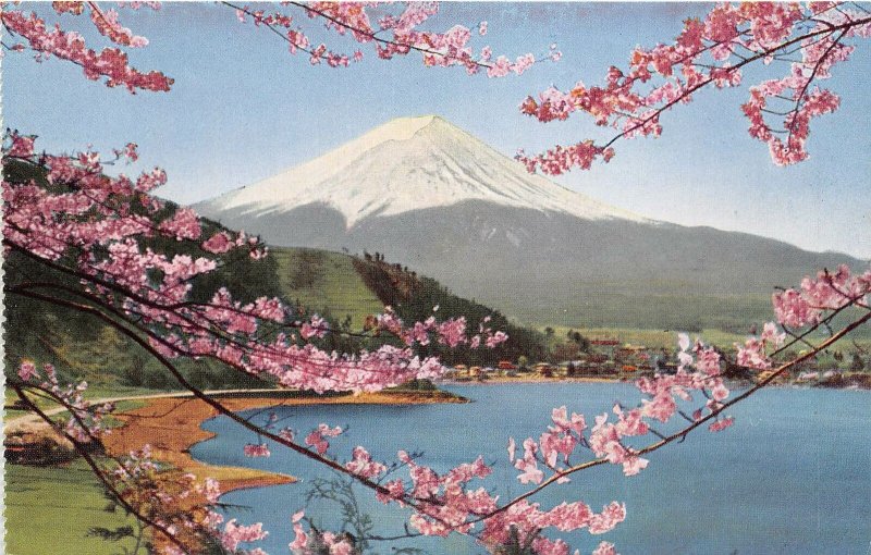 Lot 28 japan landscape  mount fuji  cherry blossom