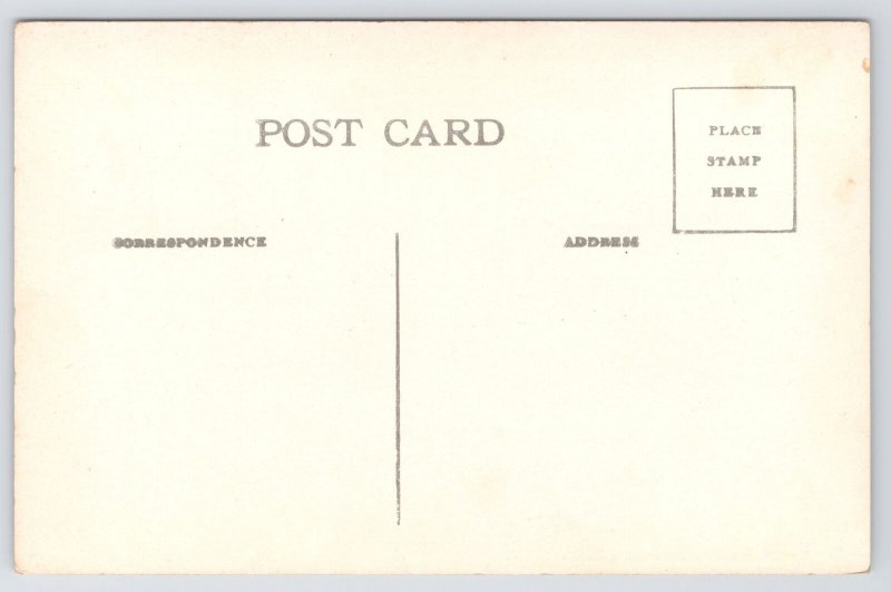 Syracuse New York~Courthouse & Main Street~c1910 B&W Postcard