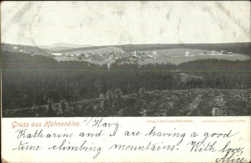 Gruss Aus Hahnenklee Germany 1902 Used Postcard