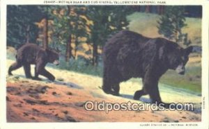 Yellowstone National Park Bear Unused 