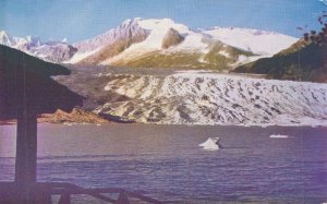USA The Mendenhall Glacier Alaska Chrome Postcard 08.20